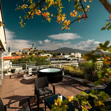 Penthouse Centrum S Dokonalym Vyhladom A Velkou Terasou Appartamento *